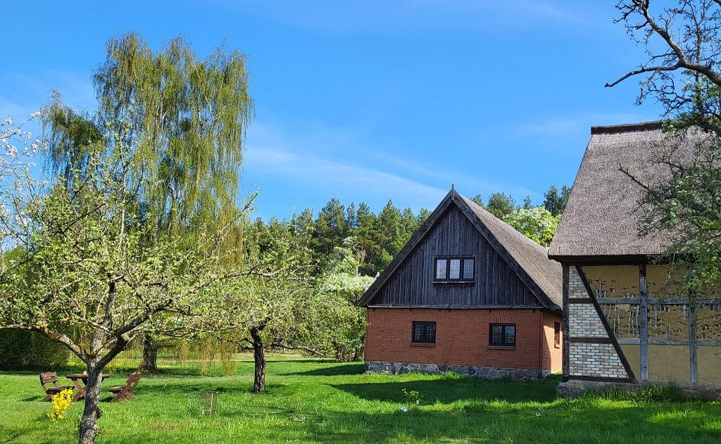 Garten Blick von Westen